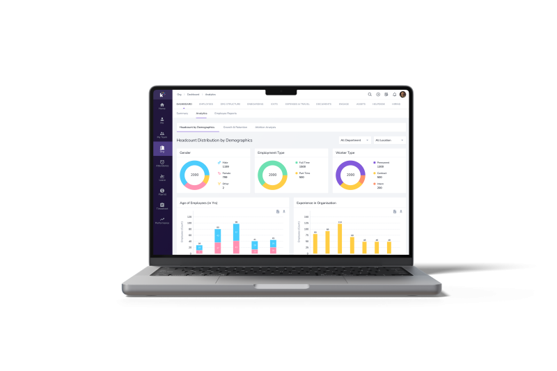 headcount demographics hr dashboard