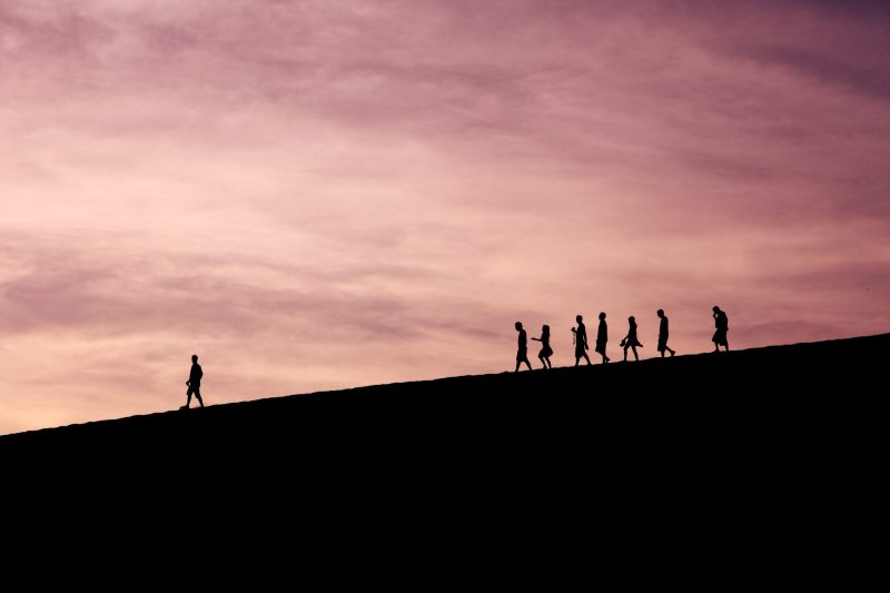Top 10 Common Leadership Styles : Examples, Pros and Cons