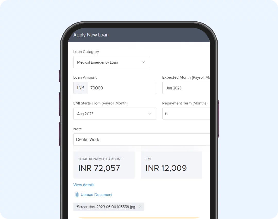 Loan management on the go